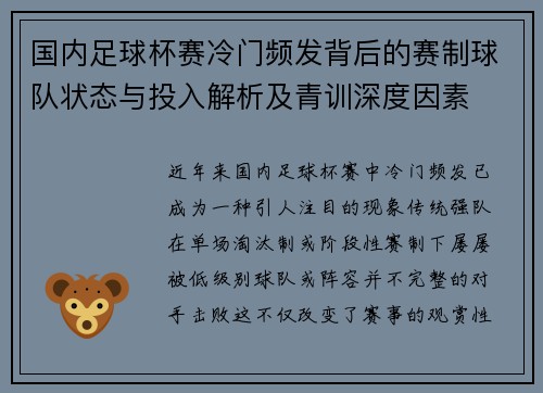 国内足球杯赛冷门频发背后的赛制球队状态与投入解析及青训深度因素